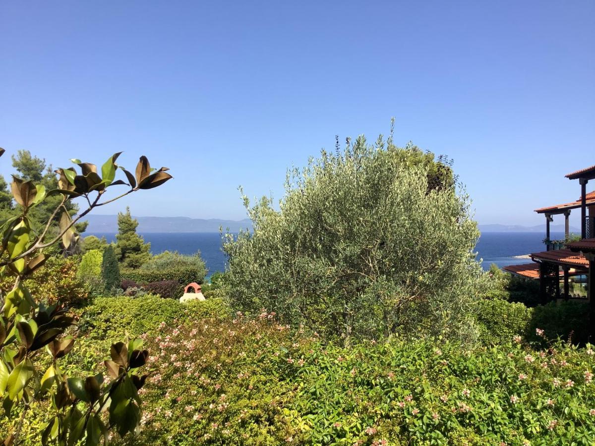 Amazing Villa With Views Sea In Paliouri Eksteriør billede
